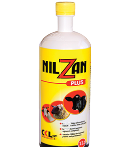 Nilzan Plus