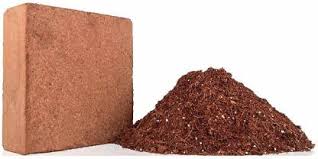 Cocopeat 5kg