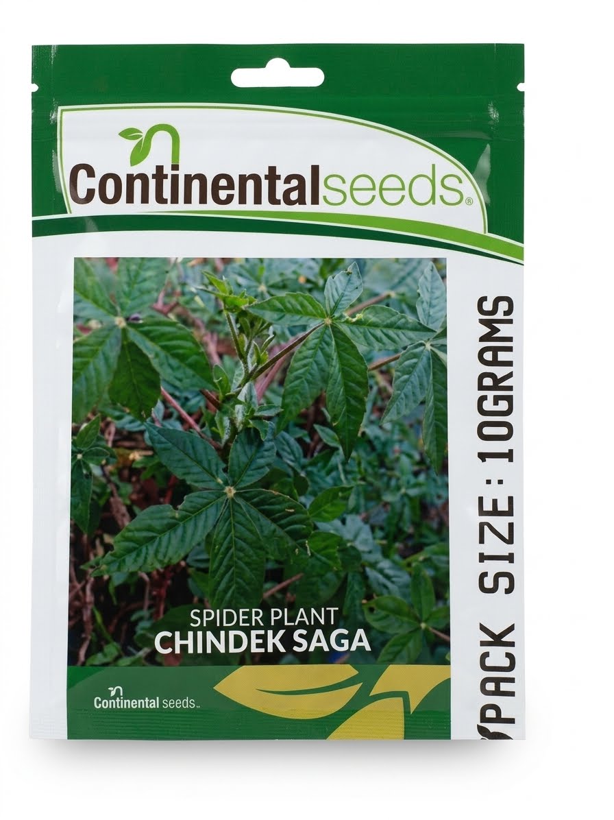 Saget 25g