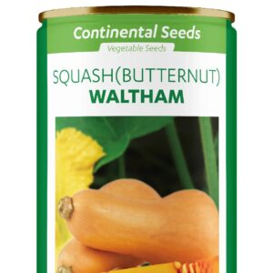 Butternut  10g