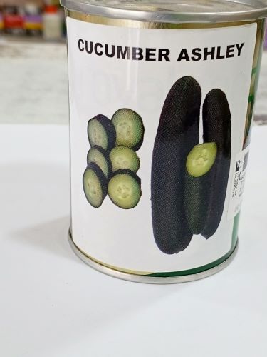 Cucumber Ashley 10g