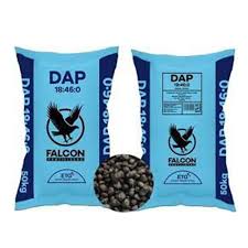 DAP 10k