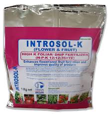 IntroSol K 1kg