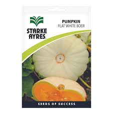 Pumpkin Flat Boer 50g