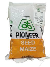 Maize Pioneer 2848 2kg