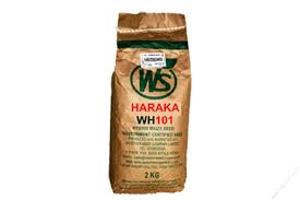 Maize H1100 2kg