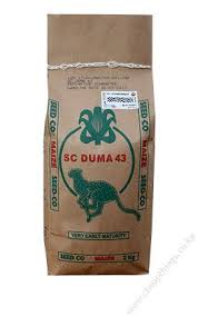 Maize Duma 43 2kg