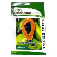 Pawpaw enox 100 seeds