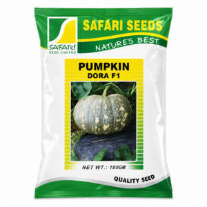 Pumpkin Dora 25g