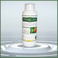 Fenari 1L