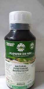 Flower DS 1L