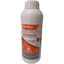 Goldchance flower and fruit 250ml