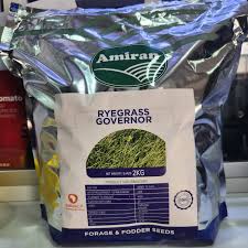 Governor 2kg