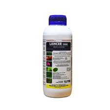 Lancer 100ml