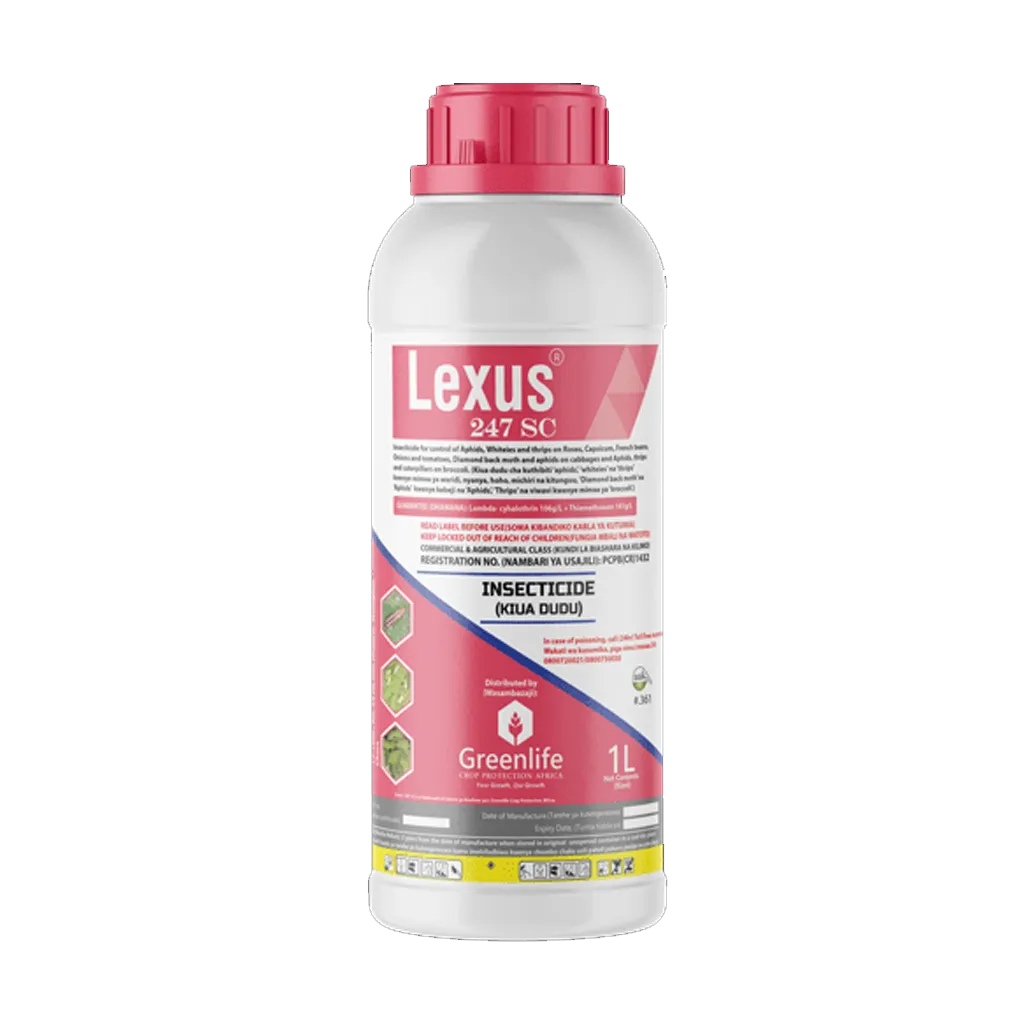 LEXUS 100MLS