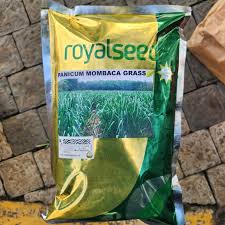 Mombaca Grass 1kg