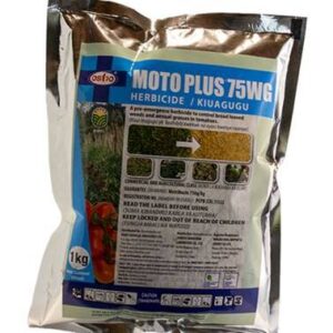 Moto Plus 100g