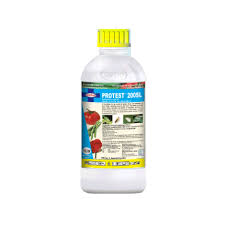 Protest 250ml