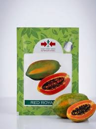 Pawpaw Red Royale 10 seeds