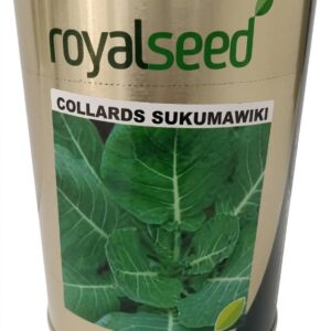 Collard 500gm