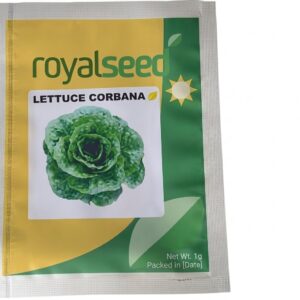 Lettuce Corbana 100 seeds