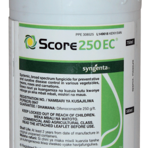 SCORE 1L