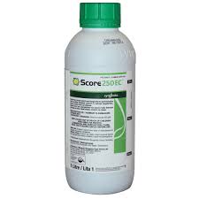 Score 100ml