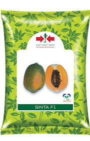 Pawpaw sinta 10 seeds
