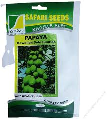 Pawpaw Solo Sunrise 100 seeds