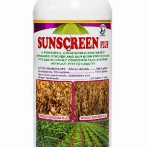 Sunscreen 1L