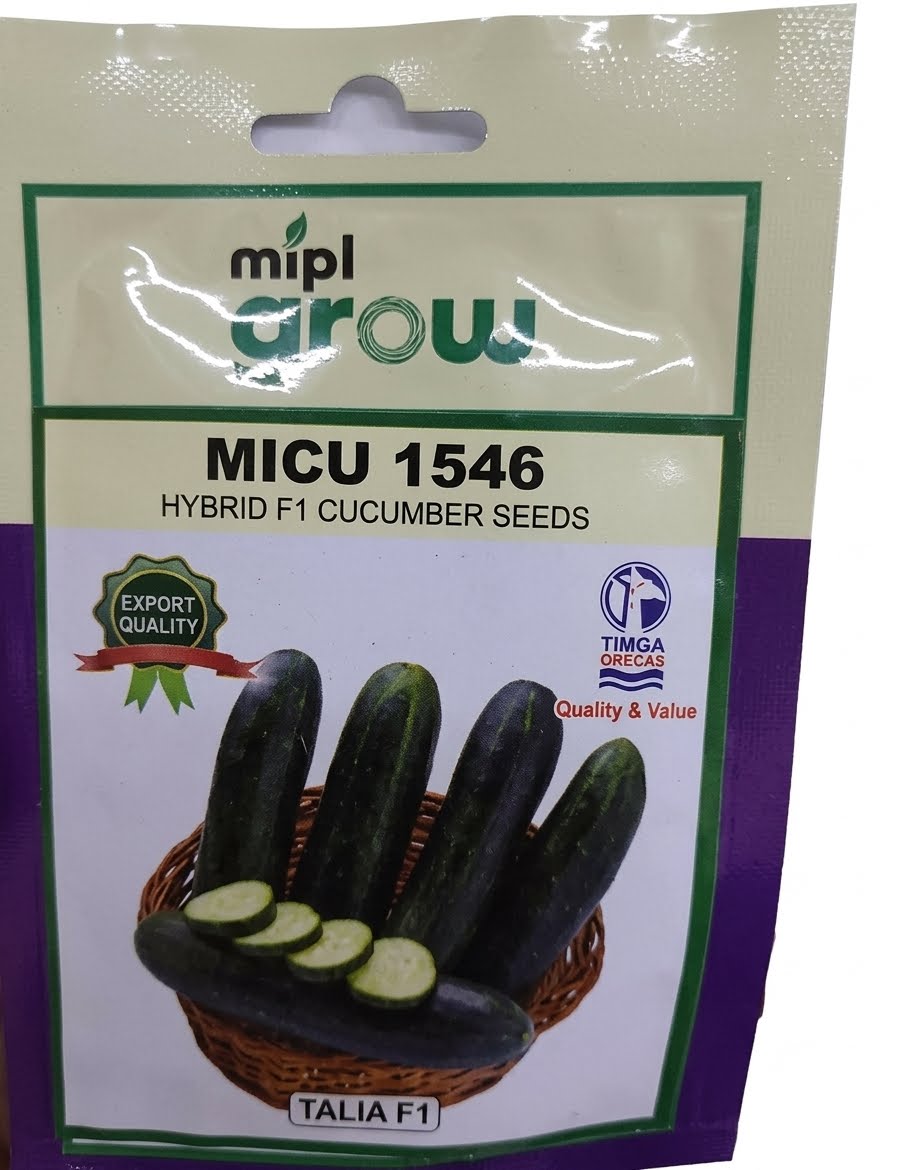 Cucumber Talia 50g