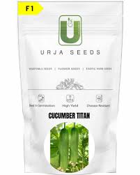 Cucumber Titan 100 seeds