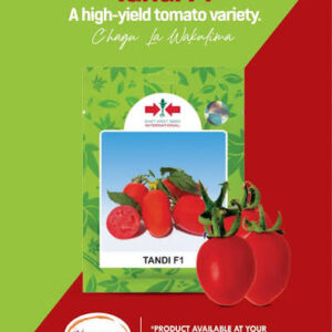 TOMATO TANDI 50G