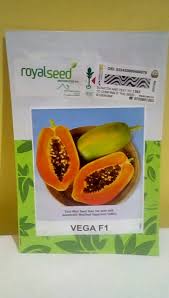 Pawpaw Vega 10 seeds