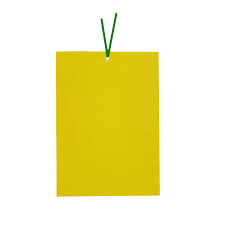 Yellow Sticky paper 10 pcs
