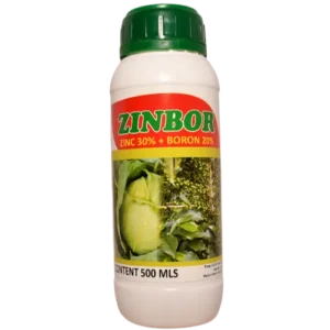 Zinbor 100ml